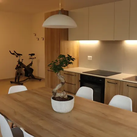 Apartment Domus Aurus Family